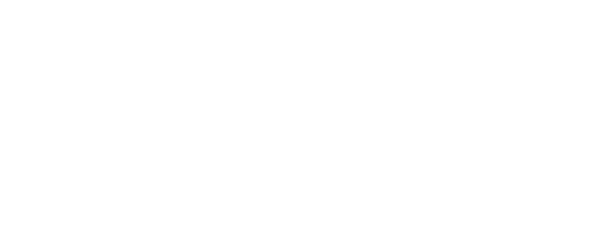 Radial Seguros